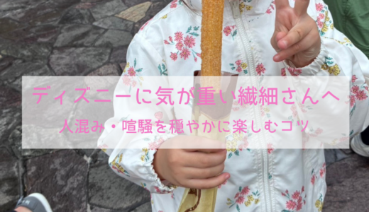 【HSP向け】ディズニーが気が重い繊細さんへ｜人混み・喧騒を穏やかに楽しむコツ